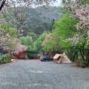 반딧불농원 이미지