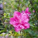 영동군_실내테니스장 이미지