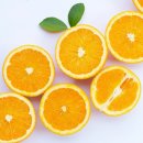 바디웰짐 이미지