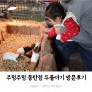 아기둥지어린이집 | 동탄 겨울에 아이랑 갈만한곳, 주렁주렁 동탄점 내돈내산 방문 솔직후기&amp;팁