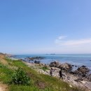 꽃물 공원 | 울산 가볼만한 곳 슬도 유채꽃 명소 방문 후기 (2026년 4월 19일 기준)