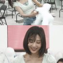 조이애견