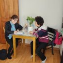 생활원예(반려식물) 이미지