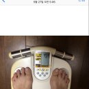 삼일티에스 | 하루비움 후기 : ) 3일비움 / 체중감량