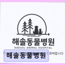해솔동물병원 네이버블로그