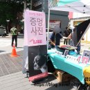 유어펫스토리 이미지