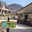 메죵도레