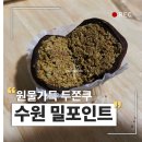 경기도 수원시 영통구 매탄로204 이미지