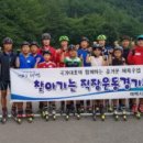 태백시청 이미지