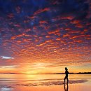 아름다운세상 이미지