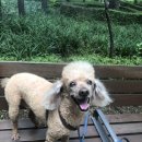 몽몽이 미용실 이미지