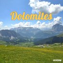 피노이 | 이탈리아 돌로미티 세체다 알페 디 시우시 참피노이 야생화 6월말 여행후기