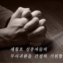 크린베드