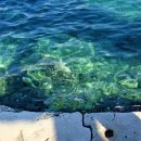 명운농장 이미지