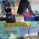 양오낚시터 | 인천 아이와 가볼만한곳 강화 양오 빙어 축제
