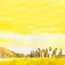 (주)손안에세상 네이버블로그