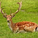 호림한의원 이미지