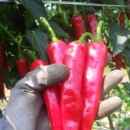 지희농장 이미지