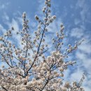 부산노인전문제4병원 이미지