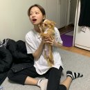 프레쉬맨 이미지