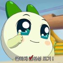 몽키매직 이미지