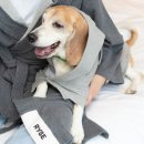 아이호텔(I-HOTEL) 이미지