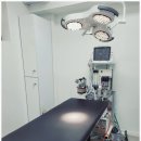 도곡동행동물병원 이미지