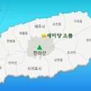 제주삼읍도총지도 이미지