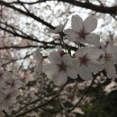 추월산로 이미지