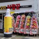 오리사랑꾼