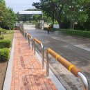 신왕초등학교 이미지