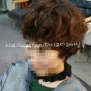 다시보다헤어살롱 이미지