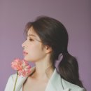 메이다베일