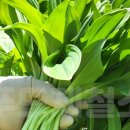 대명농장 이미지