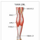 거창의원 이미지