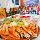 묵호항 대게 맛집 가성비 대게 혜성식당