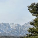 스테이 앤 다이닝산 이미지