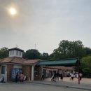 대전 근교 세종 가볼만한곳 베어트리파크 동물원