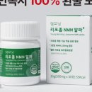 이터널커넥션