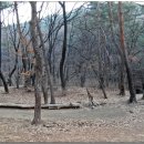 태성2농장 이미지