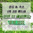 &lt;드라마틱 투어, 한번 더 해피앤딩&gt; 강릉~속초1박2일, 여행자분들의 후기!