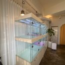 펫퍼스트24시 서울송파점 강아지고양이분양말티푸말티즈푸들 이미지