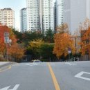 만해보리굴비