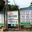 오륜대횟집