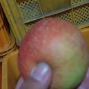 더바른 농장 이미지