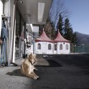 필 리조트 펜션 이미지