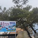 여울소리 오토캠핑장 이미지