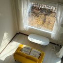 구목씨의 휴식 이미지