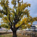 석정온천휴스파 이미지