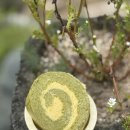 해피병풀 이미지